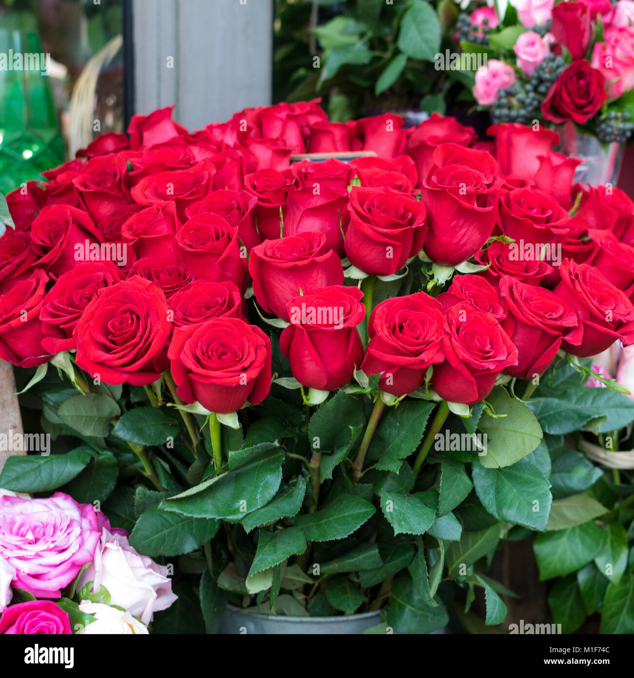 Bellissimi fiori pronto per San Valentino, mazzi delle colorate composizioni floreali. Foto Stock