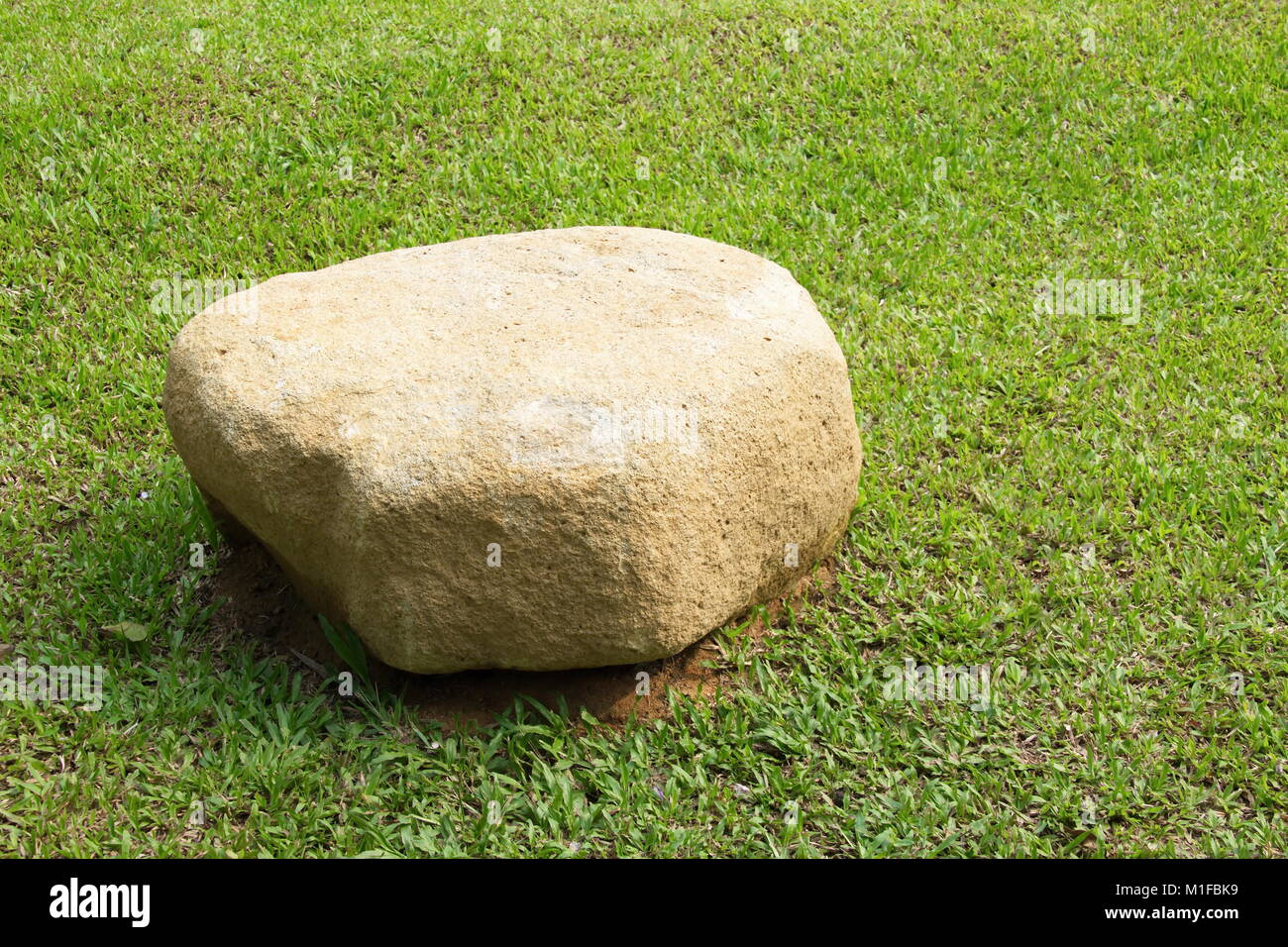 Chiuso su una grossa pietra sul verde del campo di erba Foto Stock