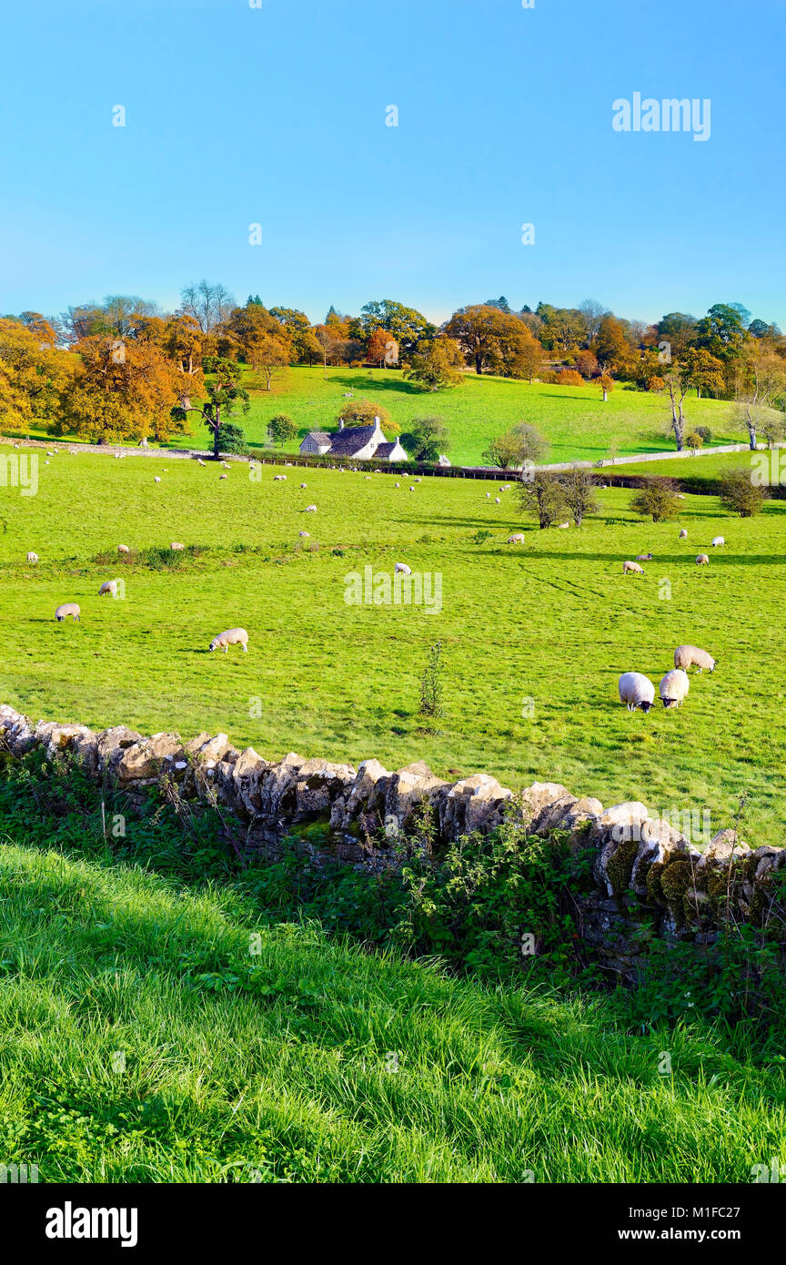 Un sunny view di Cotswolds paesaggio durante il picco dell'autunno. Foto Stock