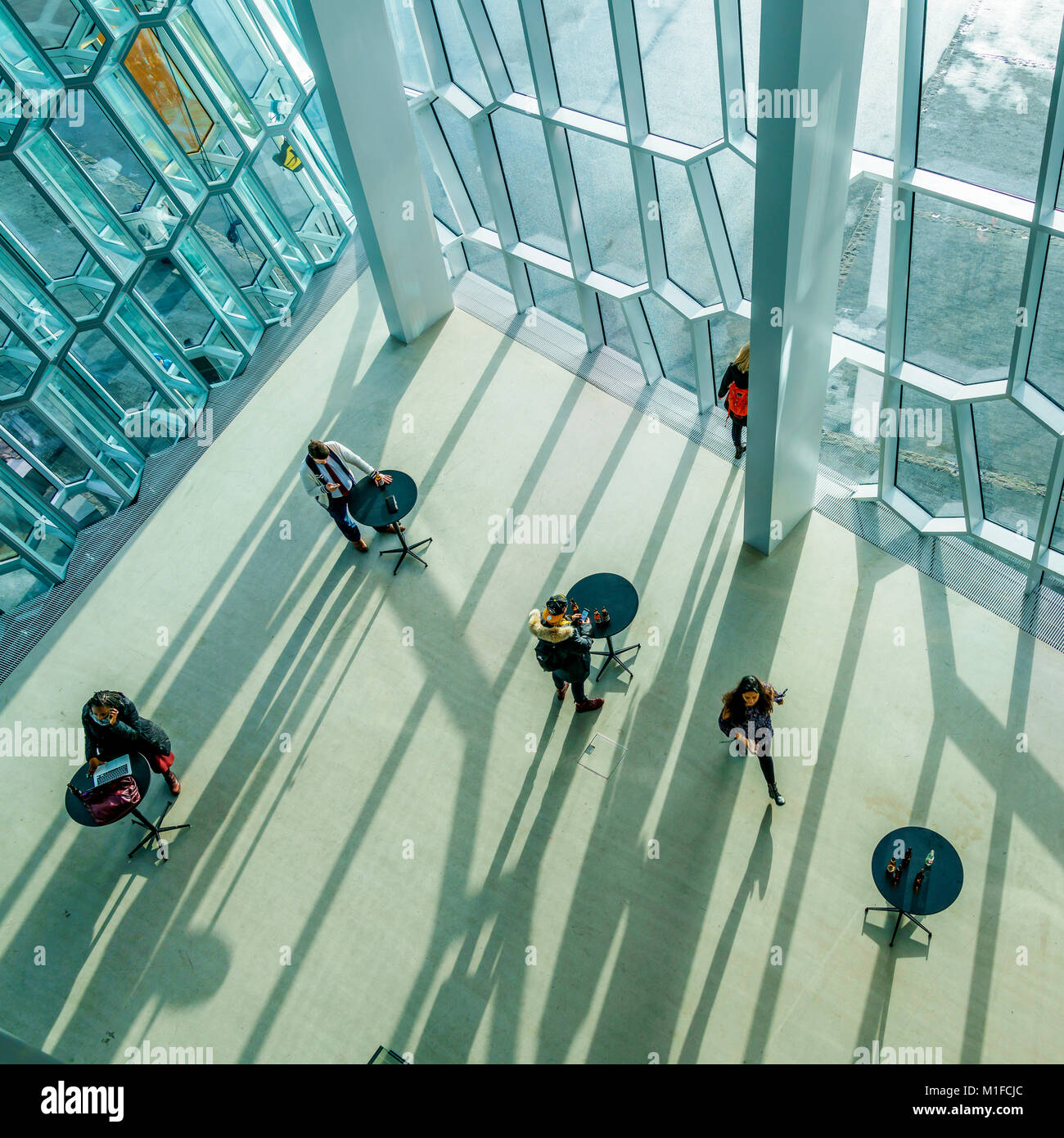 Design Show, harpa, Reykjavik, Islanda Foto Stock