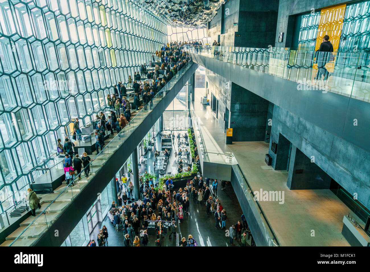 Design Show, harpa, Reykjavik, Islanda Foto Stock