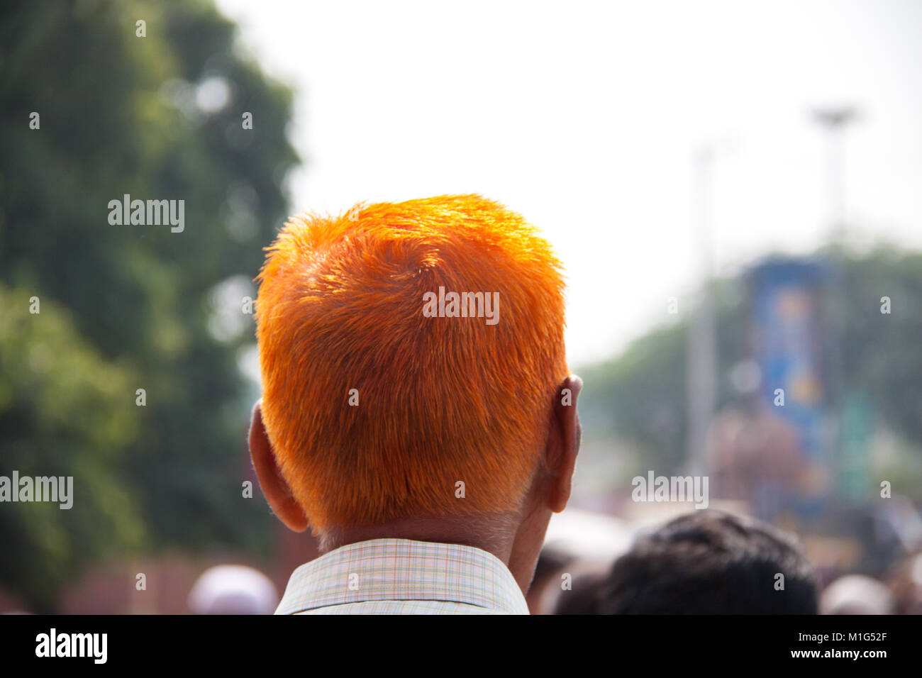 Arancio brillante capelli da henna utilizzato come colorante per capelli sul vecchio uomo al di fuori della Red Fort in Rakabganj, Agra, Uttar Pradesh, India Foto Stock