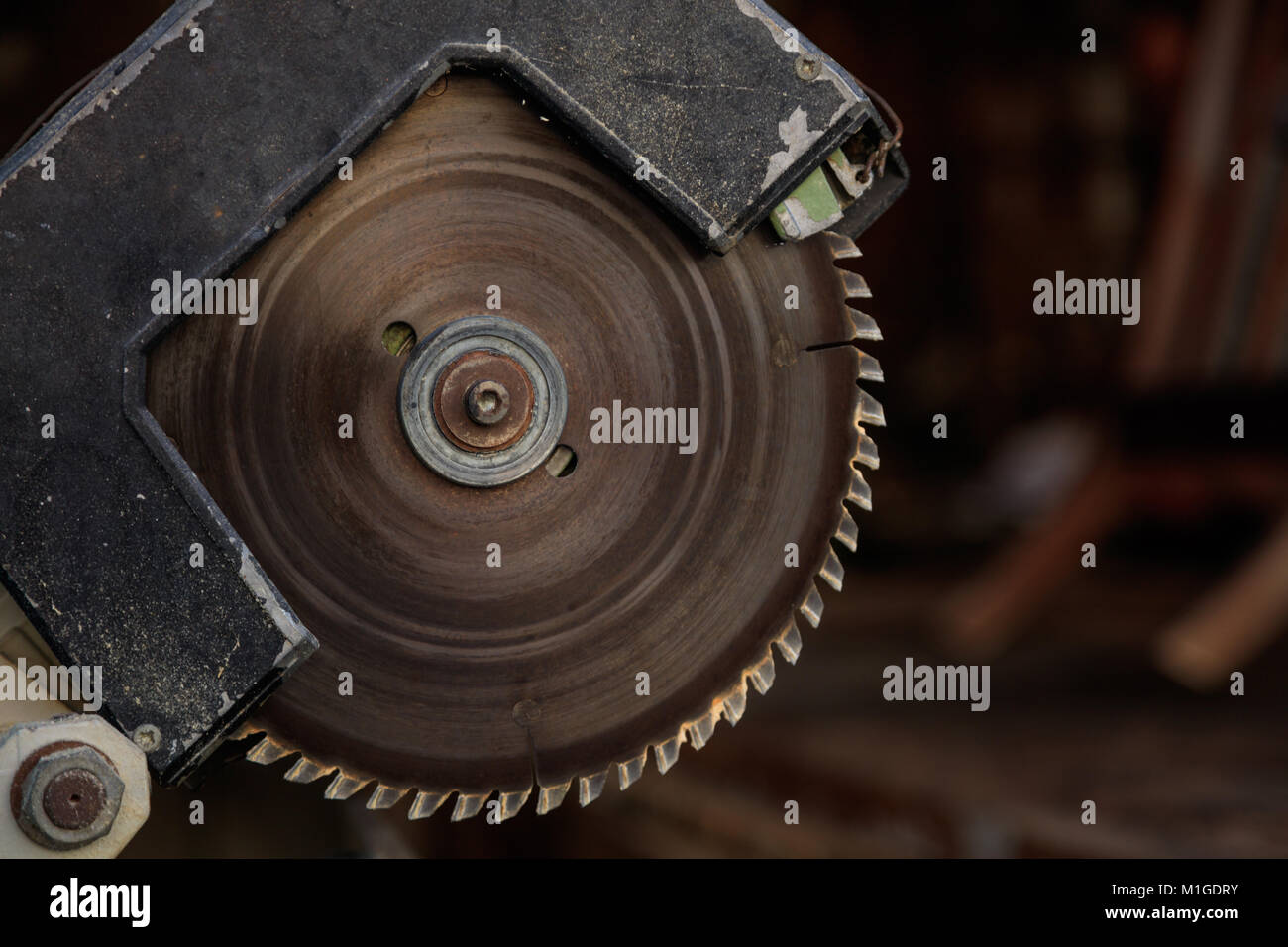 Sega elettrica metallico, sbucciata con circolare del disco frastagliato per la lavorazione del legno. La sfocatura sullo sfondo, closeup, dettaglio Foto Stock