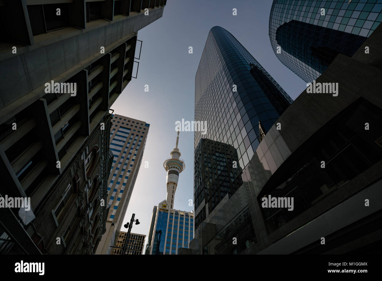Auckland, Nuova Zelanda - Gennaio, 2016: grattacieli del centro finanziario della città Foto Stock