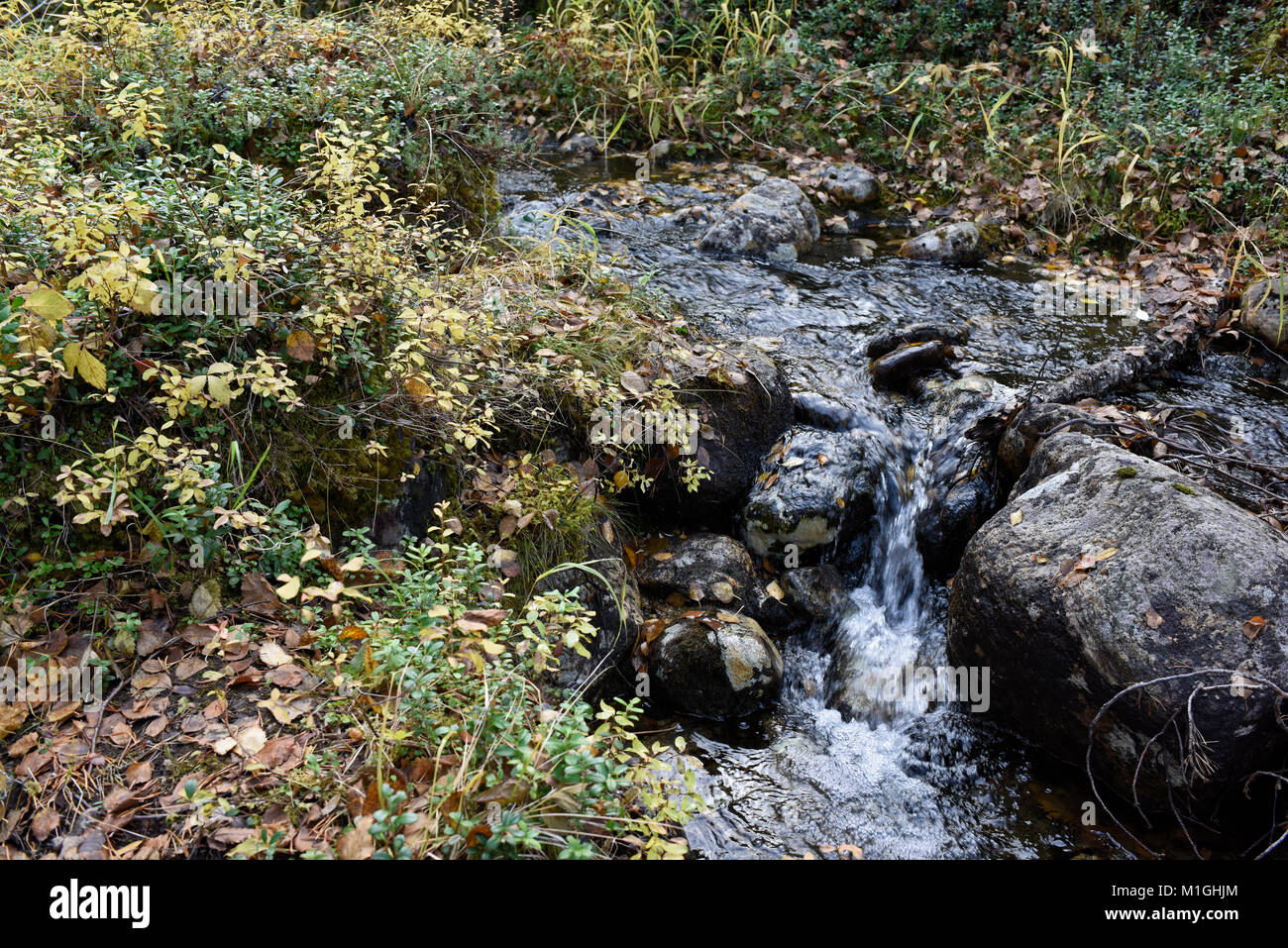 Vedute panoramiche all'interno Lemmenjoki National Park, Lapponia, Finlandia Foto Stock