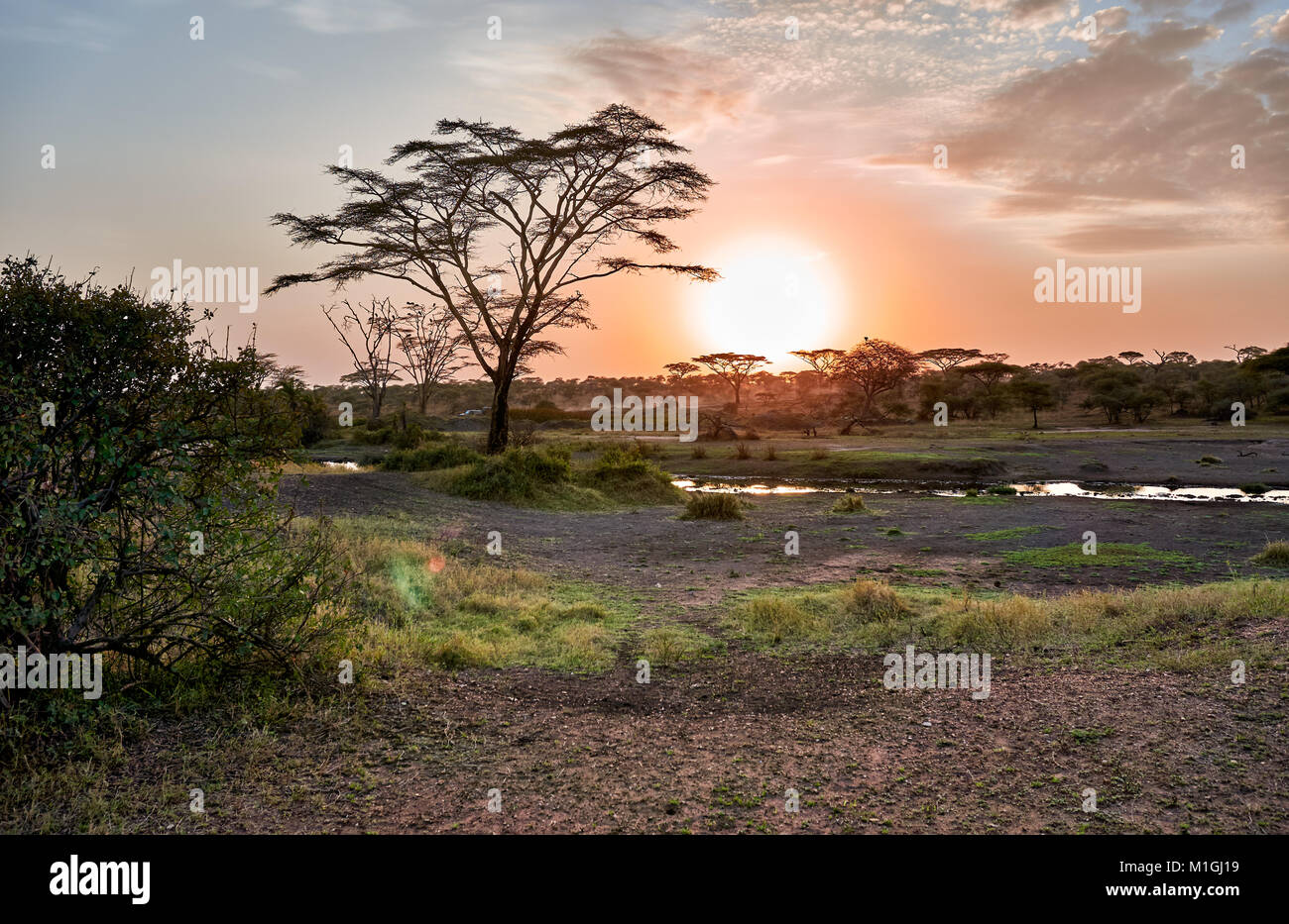 Sunrise nel Parco Nazionale del Serengeti, sito patrimonio mondiale dell'UNESCO, Tanzania Africa Foto Stock