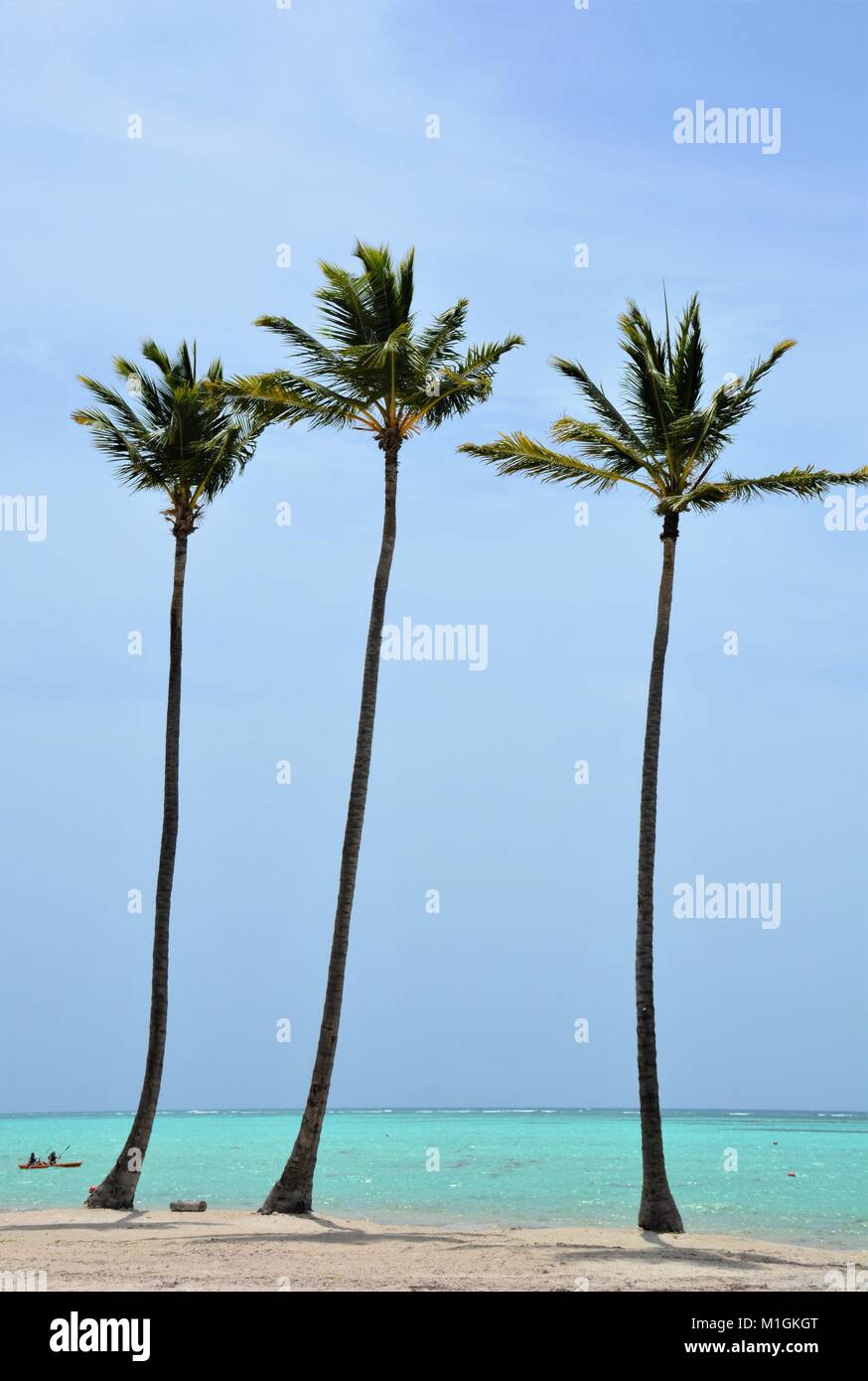 Juanillo spiaggia di Punta Cana Repubblica Dominicana Foto Stock