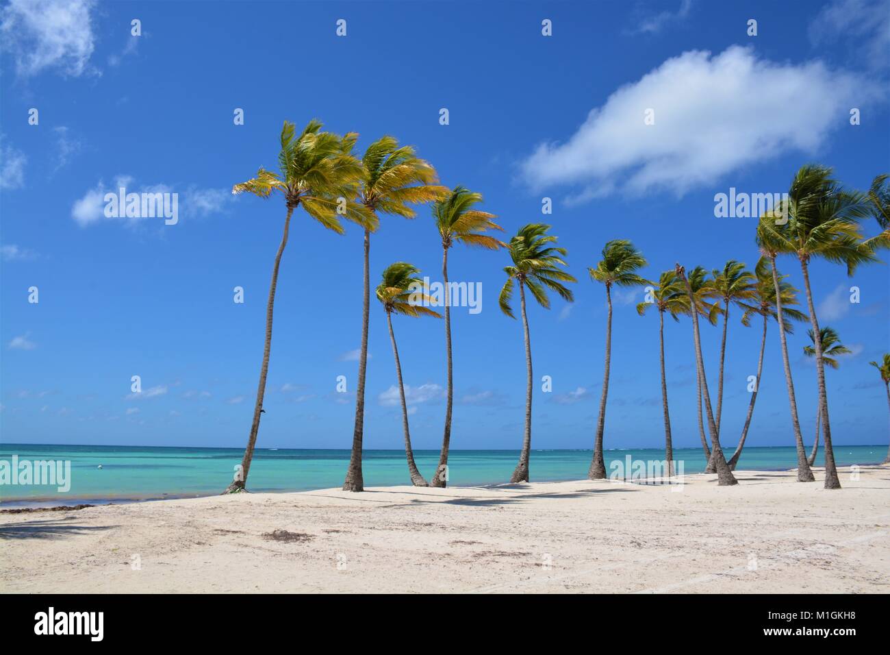 Juanillo spiaggia di Punta Cana Repubblica Dominicana Foto Stock