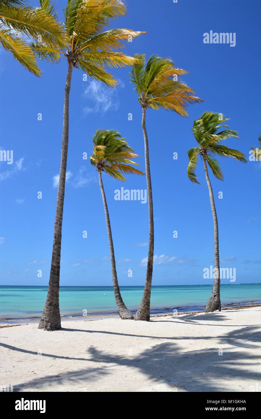 Juanillo spiaggia di Punta Cana Repubblica Dominicana Foto Stock