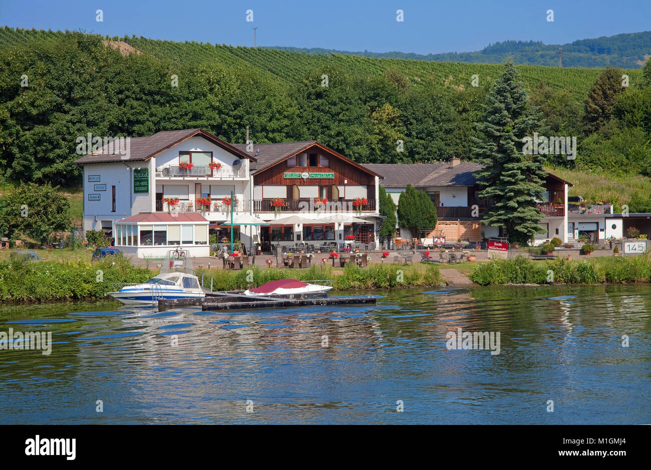 Ristorante Moselblick con proprio ponte di atterraggio per i clienti con barche, Piesport, Mosella, Renania-Palatinato, Germania, Europa Foto Stock