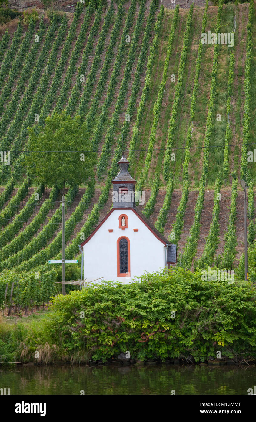La piccola cappella al Riverside, vigneto, viticoltura al vecchio Piesport, Mosella, Renania-Palatinato, Germania, Europa Foto Stock