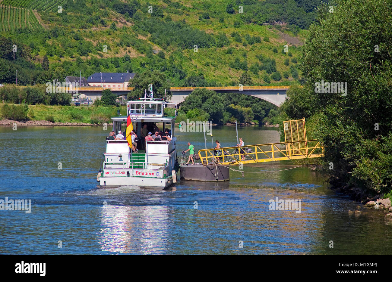 Pontile con gangplank per escursione imbarcazioni al Rachtig, Zeltingen-Rachtig, Mosella, Renania-Palatinato, Germania, Europa Foto Stock