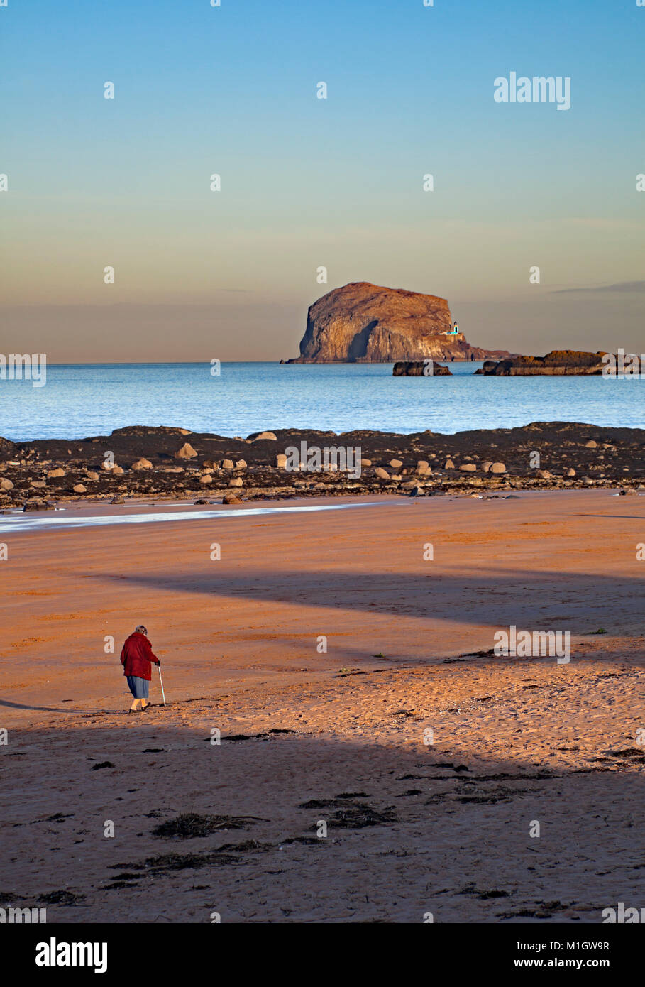 A North Berwick spiaggia su un inverno di pomeriggio con Bass Rock in background, East Lothian, Scozia, Regno Unito Foto Stock