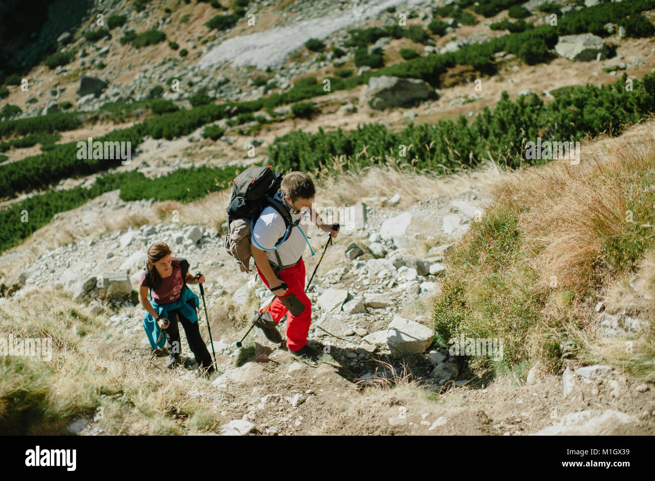 Backpackers nordic walking nei monti Tatra su una luminosa giornata di sole. Foto Stock