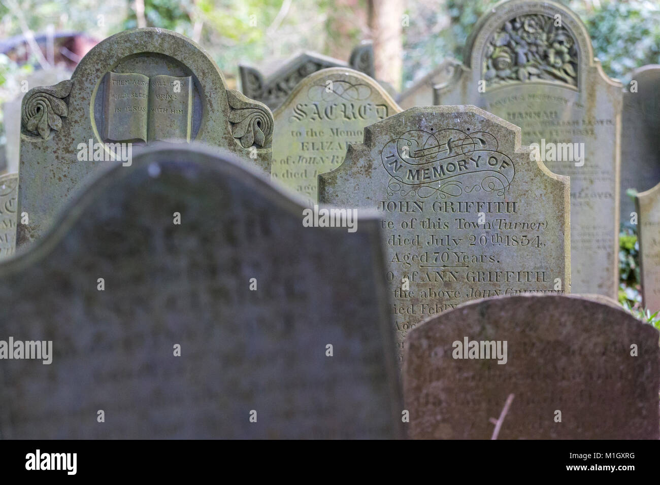 Lapidi tomba nel cimitero Foto Stock