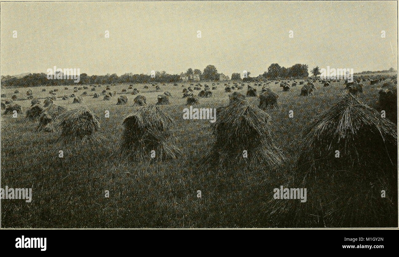 Un libro a mano della Virginia (1911) (14779171582) Foto Stock