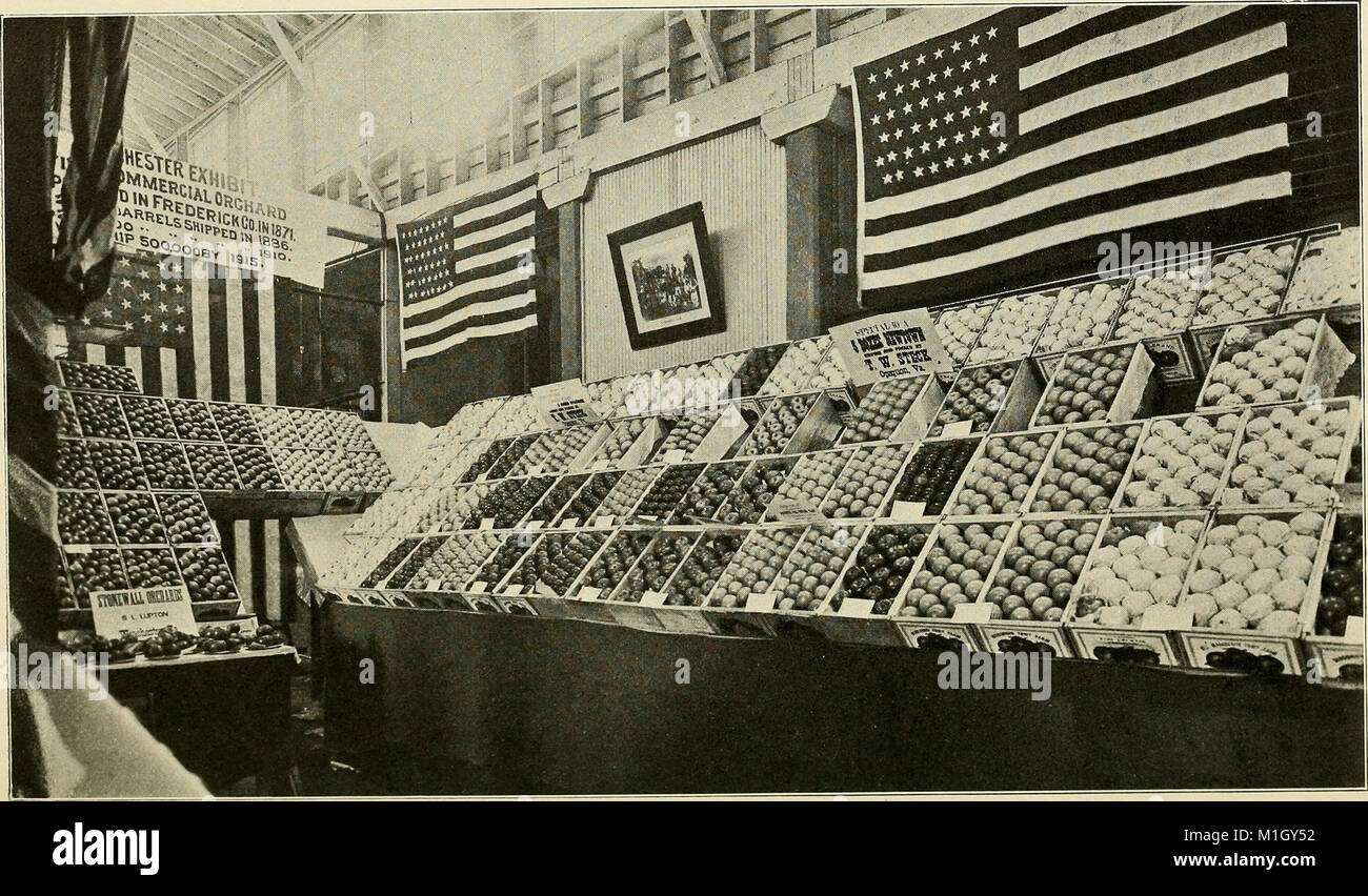 Pubblicato nel 1911, questo manuale fornisce una guida completa alla Virginia, che copre la sua storia, la sua geografia e i suoi monumenti culturali. Foto Stock