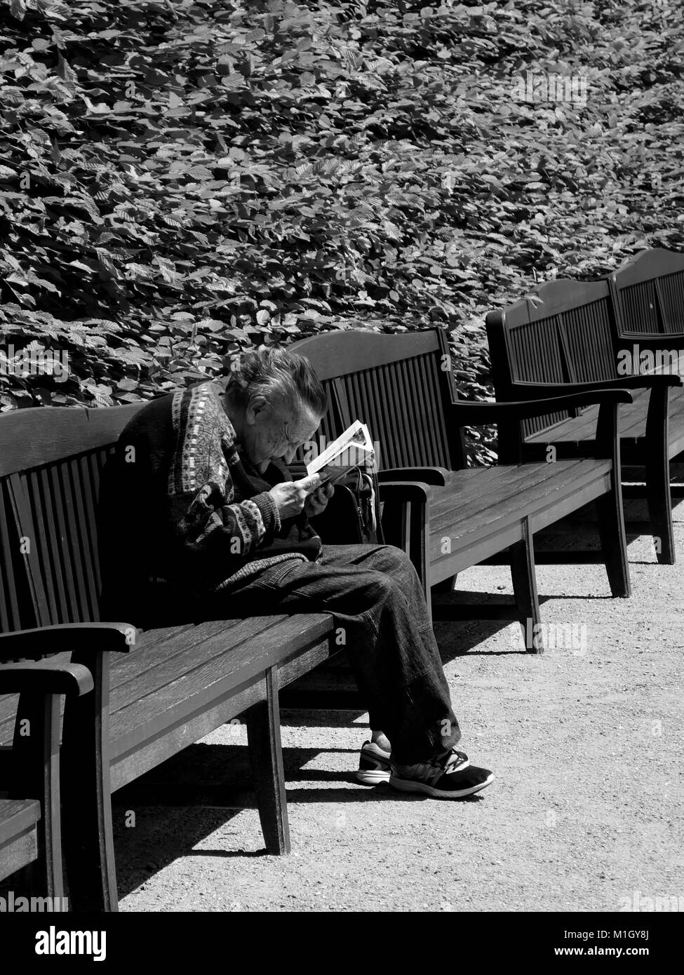Uomo anziano che legge Foto Stock