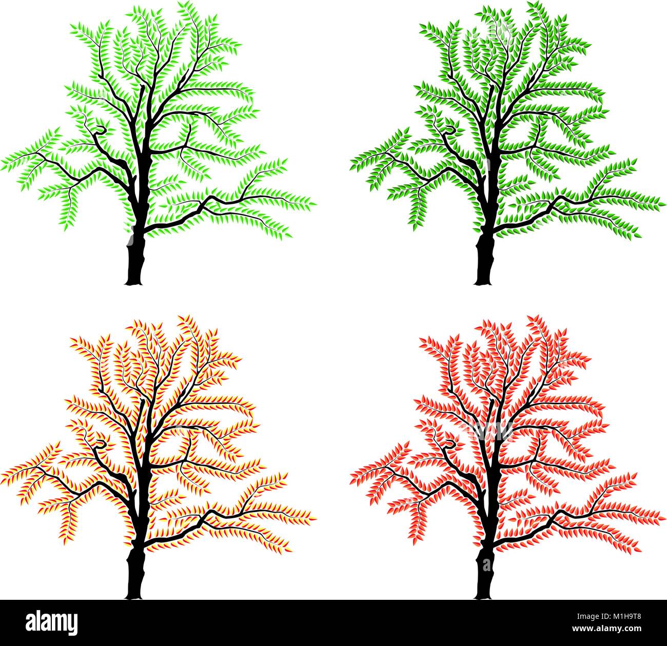 Immagine vettoriale di un albero in quattro diverse impostazioni Illustrazione Vettoriale