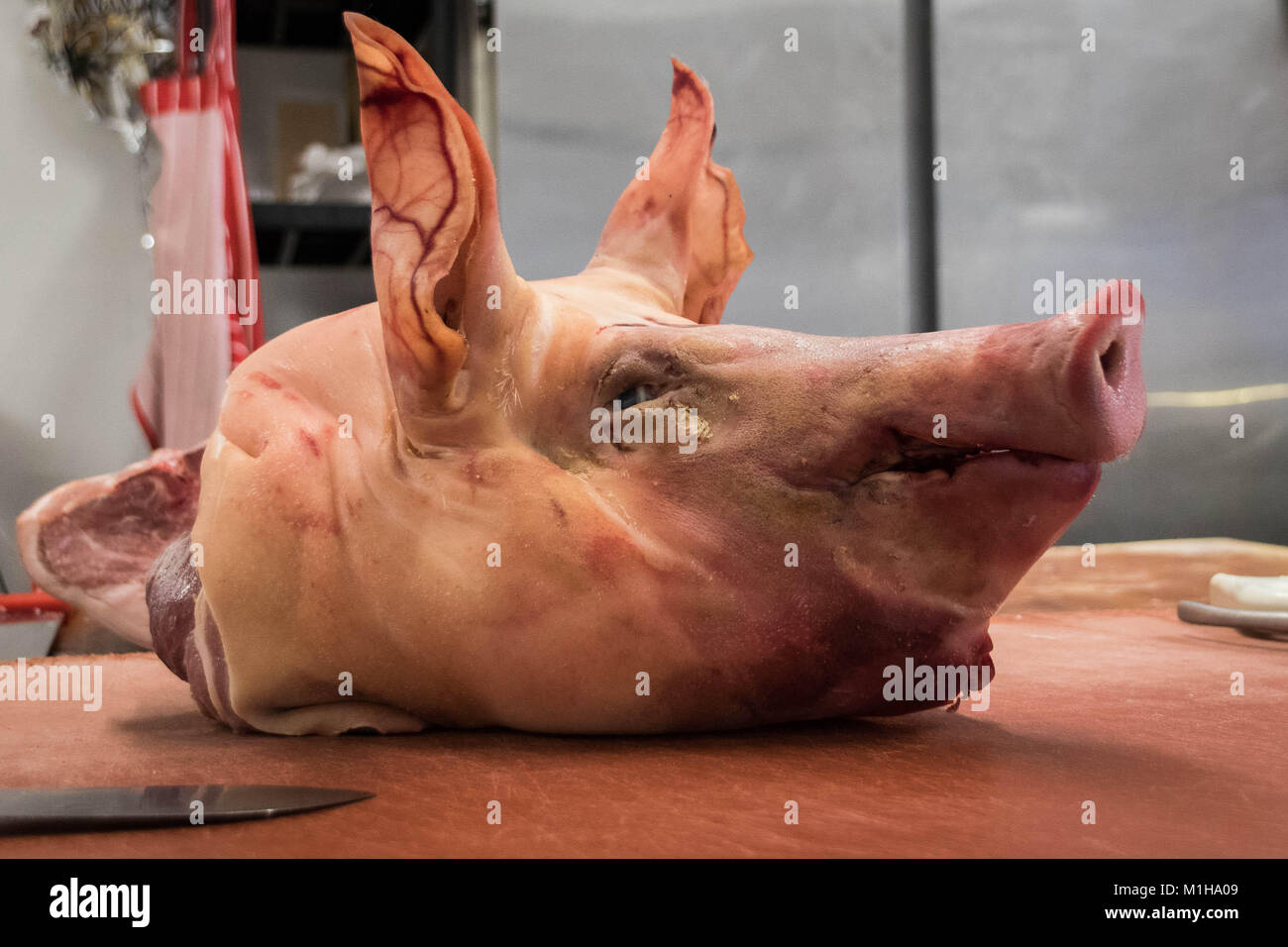 Suini testa sul blocco delle macellerie Foto Stock