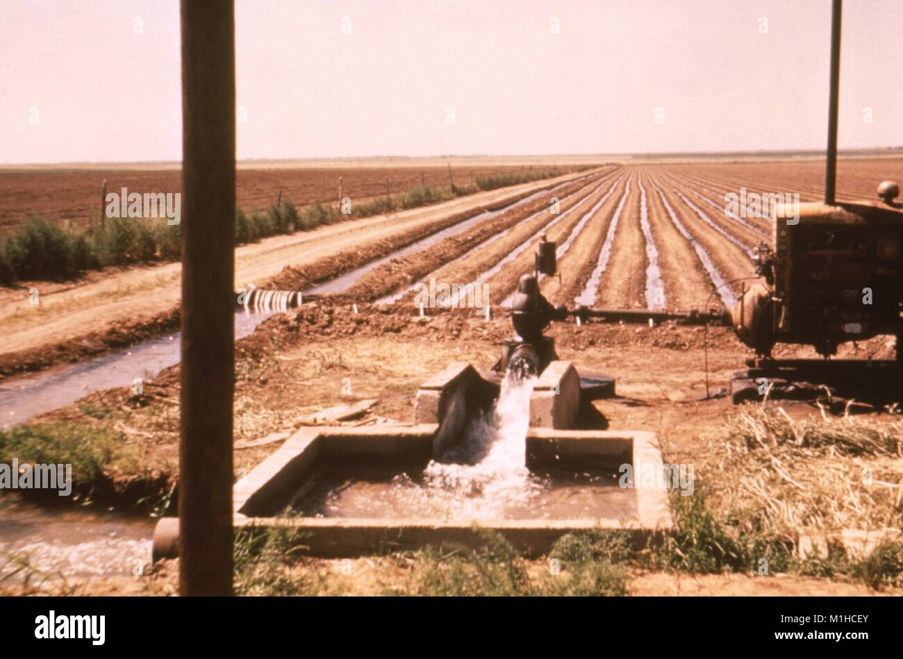 Fotografia che mostra un pozzetto di irrigazione ed un campo con solchi di irrigazione in background, in Texas, un sito relativo al CDC inchiesta del vettore di malattie in acqua risorsa sviluppi, 1976. Immagine cortesia CDC. () Foto Stock