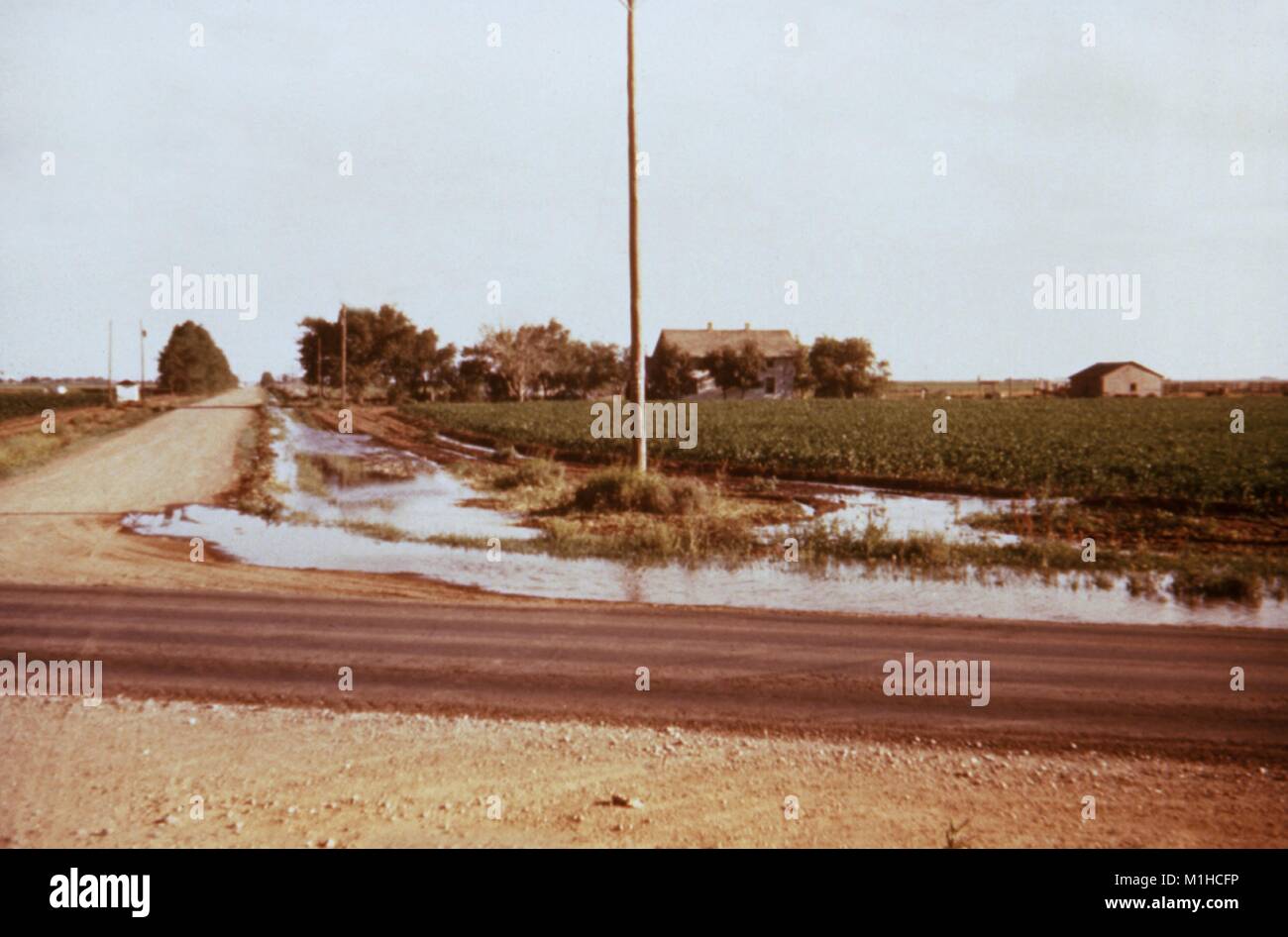 Fotografia di run-off acqua di irrigazione da un campo raccolti in un fosso stradale in Texas, un sito pertinenti per la CDC inchiesta del vettore di malattie in acqua risorsa sviluppi, 1976. Immagine cortesia CDC. () Foto Stock