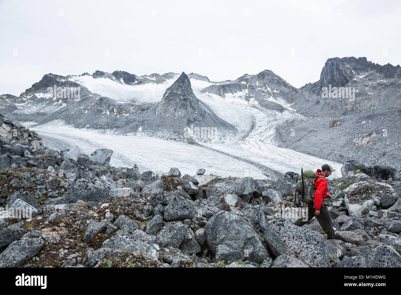Un escursionista passeggiate lungo una cresta rocciosa che si affaccia sul Ghiacciaio snowbird. Nota che la pinnacle spuntavano dietro di lui era, fino a poco tempo fa considerata un nu Foto Stock
