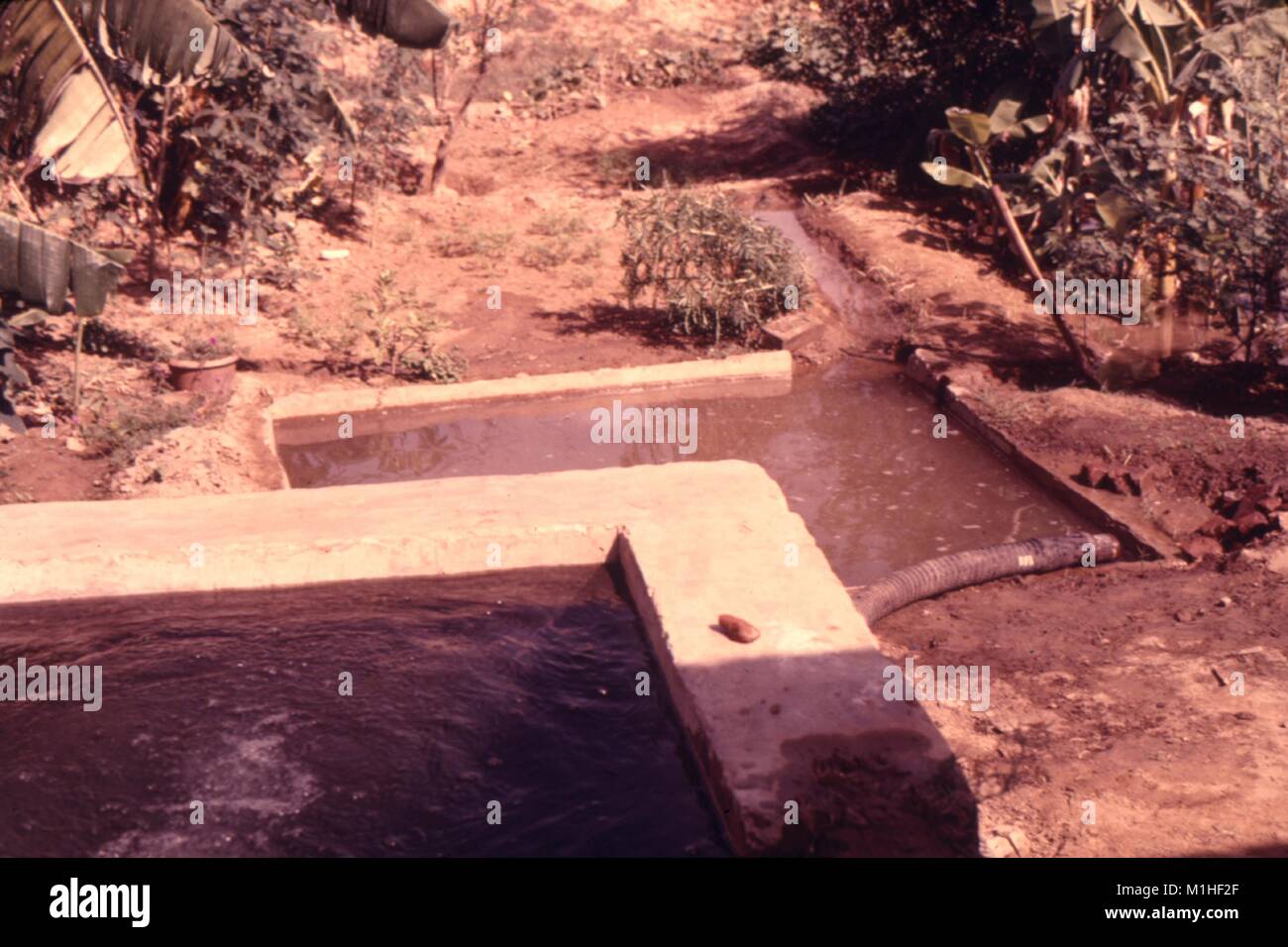 Fotografia di un pozzetto di irrigazione con l'accumulo di acqua stagnante, potenziale terreno fertile per il vettore di malattie in un campo in India del Nord, 1974. Immagine cortesia CDC/Dr.Roger Broderson. () Foto Stock