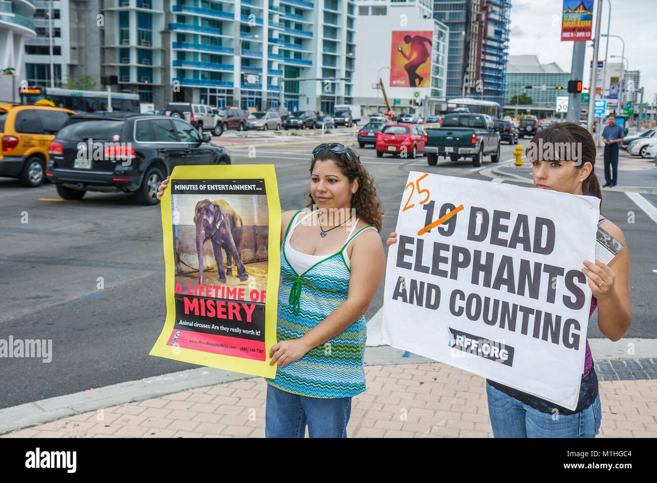 Miami Florida,Biscayne Boulevard,American Airlines Arena,protesta dell'abuso di elefante,diritti degli animali da circo,Ispanico teen teens teenager ragazze,pos Foto Stock