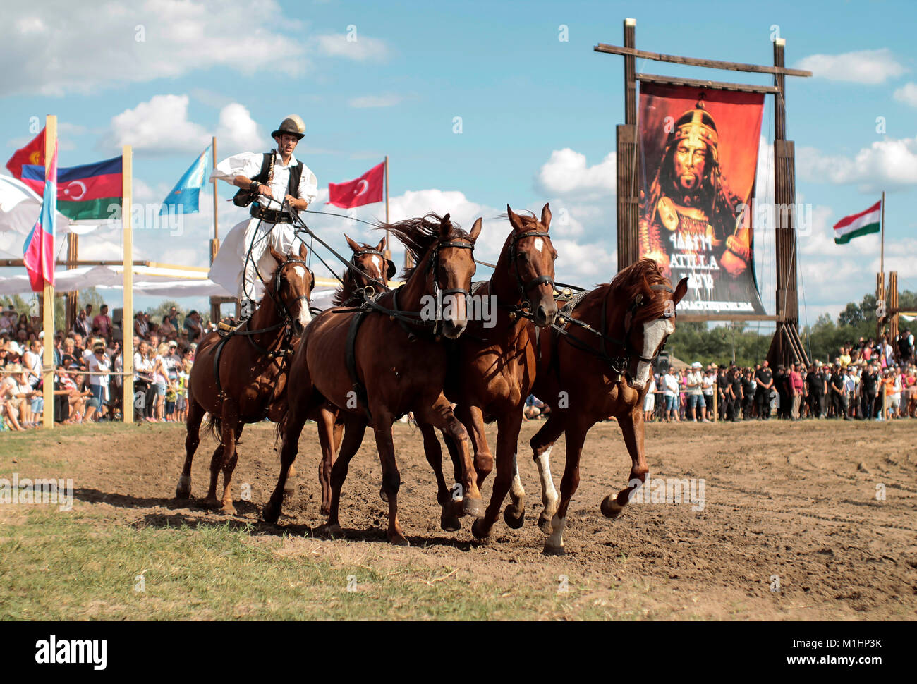I cavalli nel deserto - tradizionale programma di conservazione in Ungheria. 08/2016 Bugac, Ungheria Foto Stock