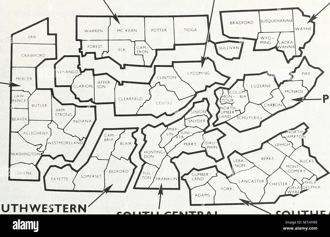Questo rapporto del 1982 analizza le risorse forestali della Pennsylvania, esaminando la composizione forestale, la sostenibilità e i contributi ecologici. Fornisce dati sui tipi di foresta, le specie e gli sforzi di conservazione nello stato. Foto Stock