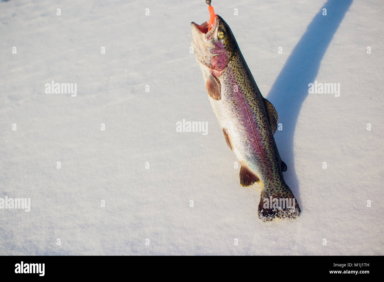 Un pescatore è successo in una fredda giornata invernale e sulla parte superiore di un lago ghiacciato di pescare trote Foto Stock