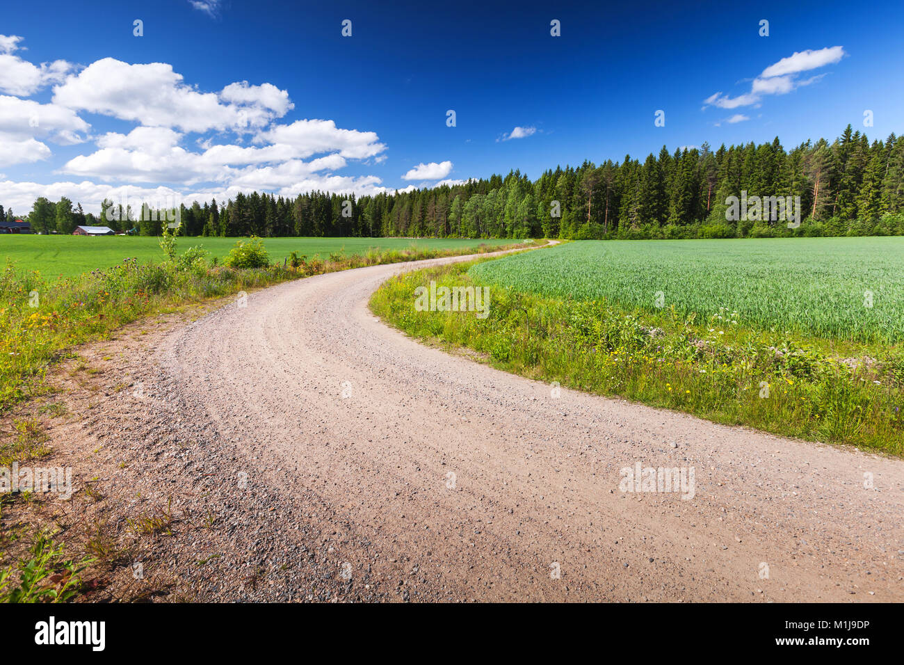 Girando strada rurale va vicino campo verde sotto il cielo blu nel giorno d'estate. Vuoto sullo sfondo del paesaggio, Finlandia Foto Stock