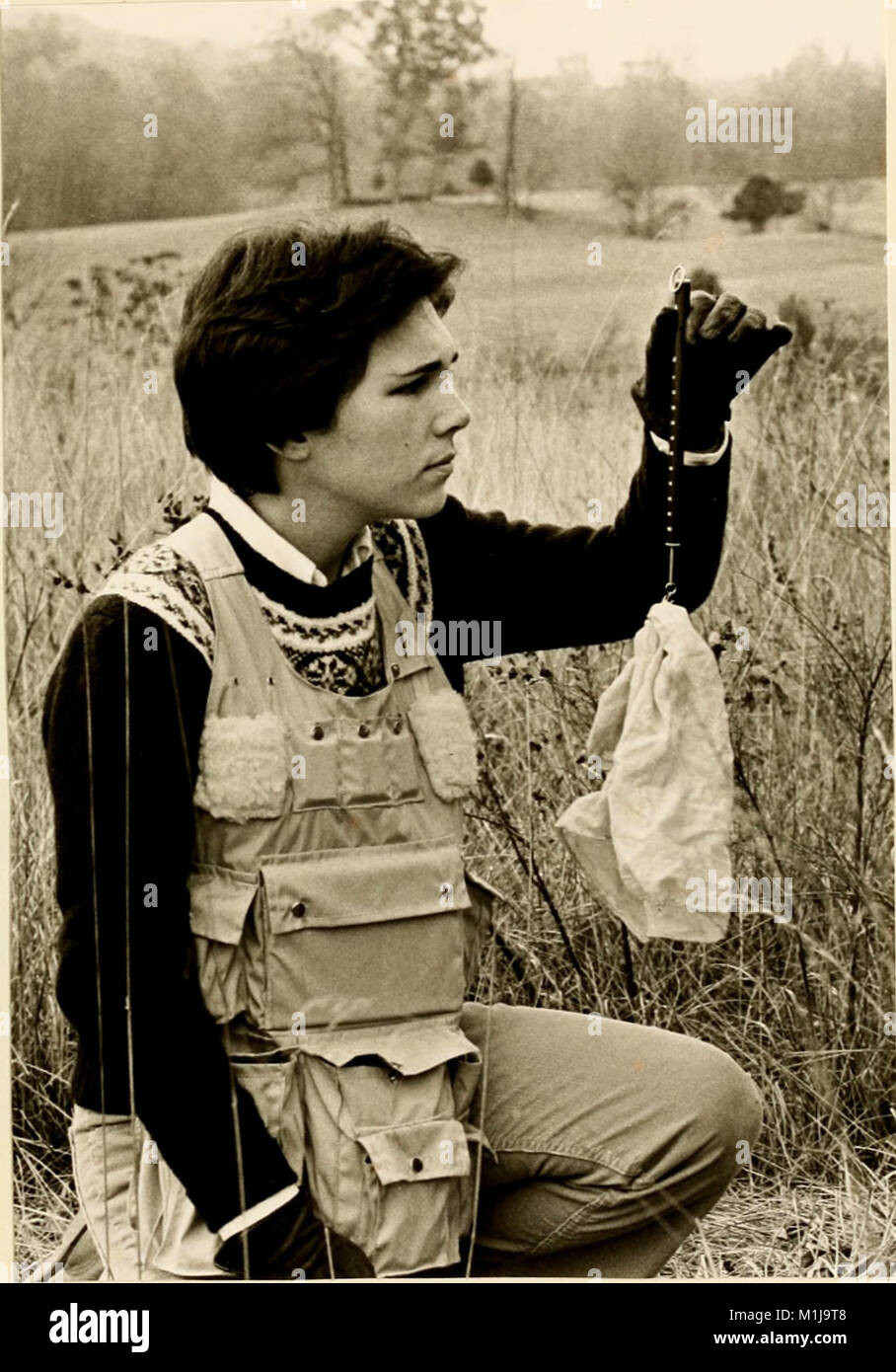 Questo studio del 1979 confronta le piccole popolazioni di mammiferi nelle foreste decidue e gli antichi habitat di campo di Sweet Briar, Virginia. Si concentra sulla diversità delle specie, sulle preferenze di habitat e sui ruoli ecologici di questi mammiferi in diversi ambienti. Foto Stock