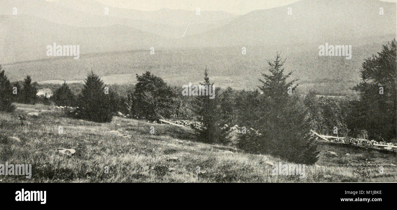 "Foreste americane" mette in evidenza lo stato e la gestione delle foreste negli Stati Uniti, concentrandosi sulla conservazione, la biodiversità e l'importanza ecologica nel contesto delle sfide ambientali. Foto Stock