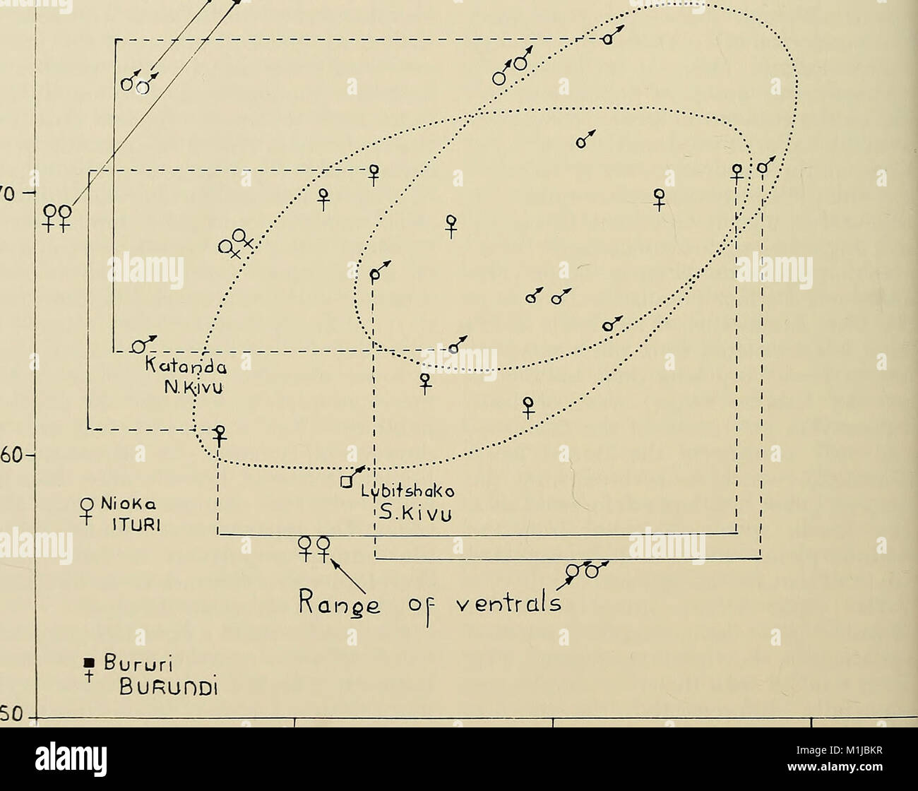 Avanza in herpetology e la biologia evolutiva - Saggi in onore di Ernest E. Williams (1983) (17318988553) Foto Stock