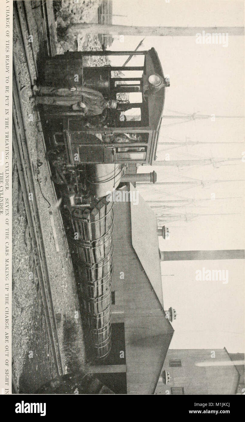 "American Forestry" (1910-1923) è un periodico dedicato alla silvicoltura e alla conservazione negli Stati Uniti. Tratta argomenti come la gestione delle foreste, gli sforzi di conservazione, il rimboschimento e l'impatto economico delle foreste sulle industrie americane. Foto Stock