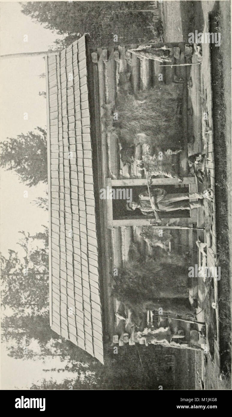 "American Forestry" (1910-1923) è una rivista che copre argomenti relativi alla gestione forestale, alla conservazione e alle sfide ambientali della silvicoltura negli Stati Uniti durante questo periodo. Foto Stock