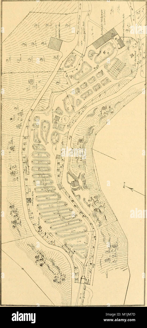 Una pubblicazione del 1898 si è concentrata sulla pesca, con articoli sulle tecniche di pesca, le specie ittiche, le tendenze del settore e l'economia della pesca. Fornisce informazioni sulle pratiche di pesca e sull'industria della pesca in quel momento. Foto Stock