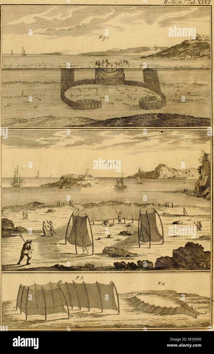 Allgemeine Abhandlung von den Fischereyen, und Geschichte der Fische, die dadurch verschaffet werden und die sowohl zum Unterhalte der Menschen, als zu vielen andern Arten von Gebrauche dienen, die (18107568805) Foto Stock