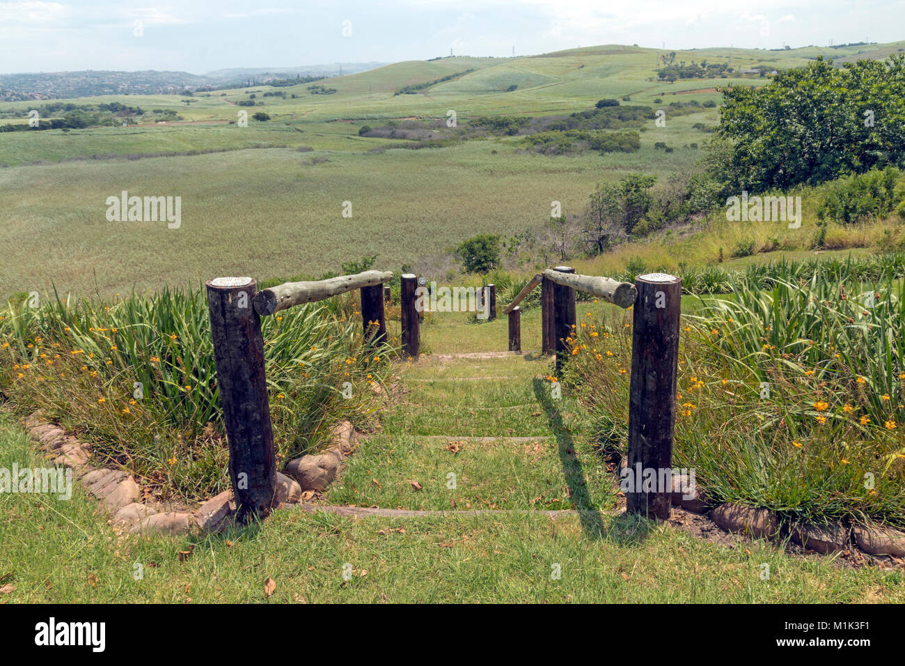 Palo di legno barriera passerella recintata , verde della tipica vegetazione mediterranea e da piantagioni di canna da zucchero contro distante Durban blu dello skyline di torbida a Mount Moreland Foto Stock