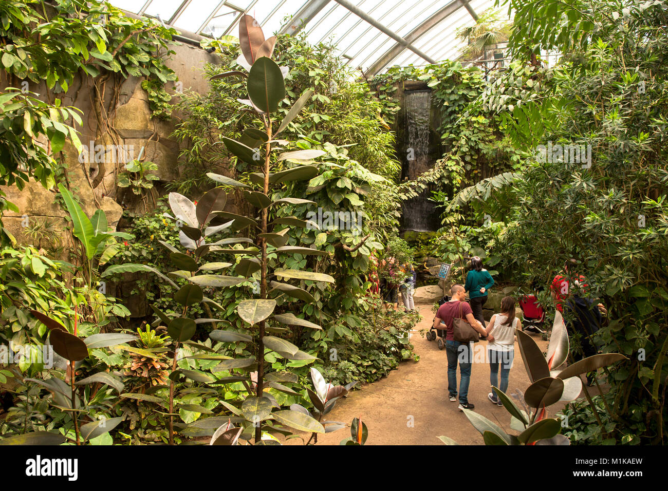 Germania, Colonia, la casa tropicale allo zoo. Deutschland, Koeln, das Tropenhaus im Zoo. Foto Stock