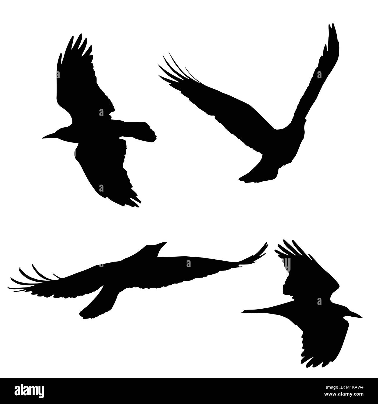 Set di vettore sagome di uccelli in volo, isolato su sfondo bianco Illustrazione Vettoriale