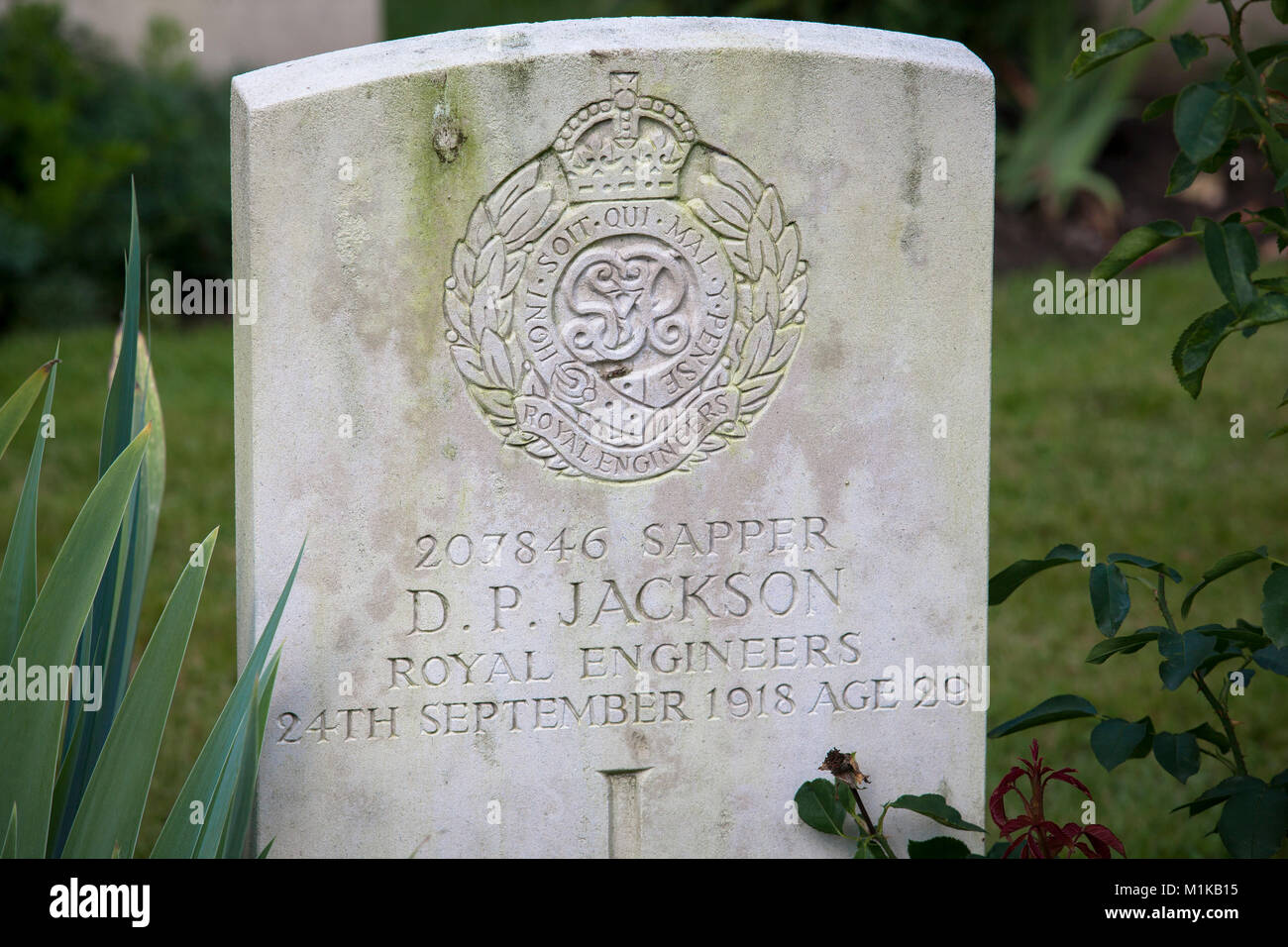 Germania, Colonia, Commonwealth War Graves cimitero della Commissione all'interno di Colonia cimitero meridionale nel quartiere Zollstock, il Commonwealth War Cemeter Foto Stock