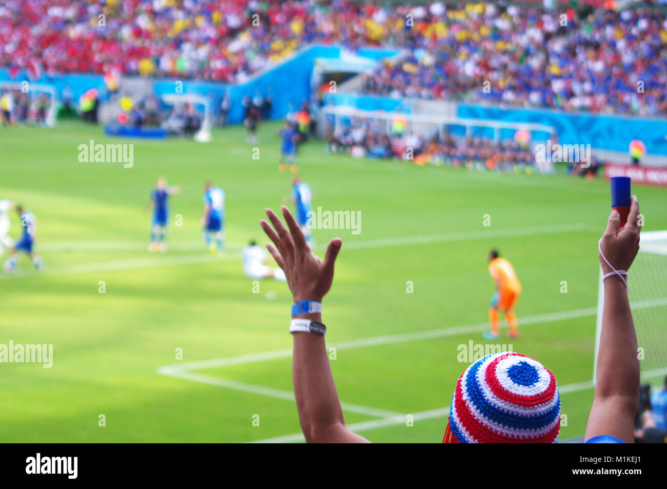 La ventola a professional partita di calcio Foto Stock