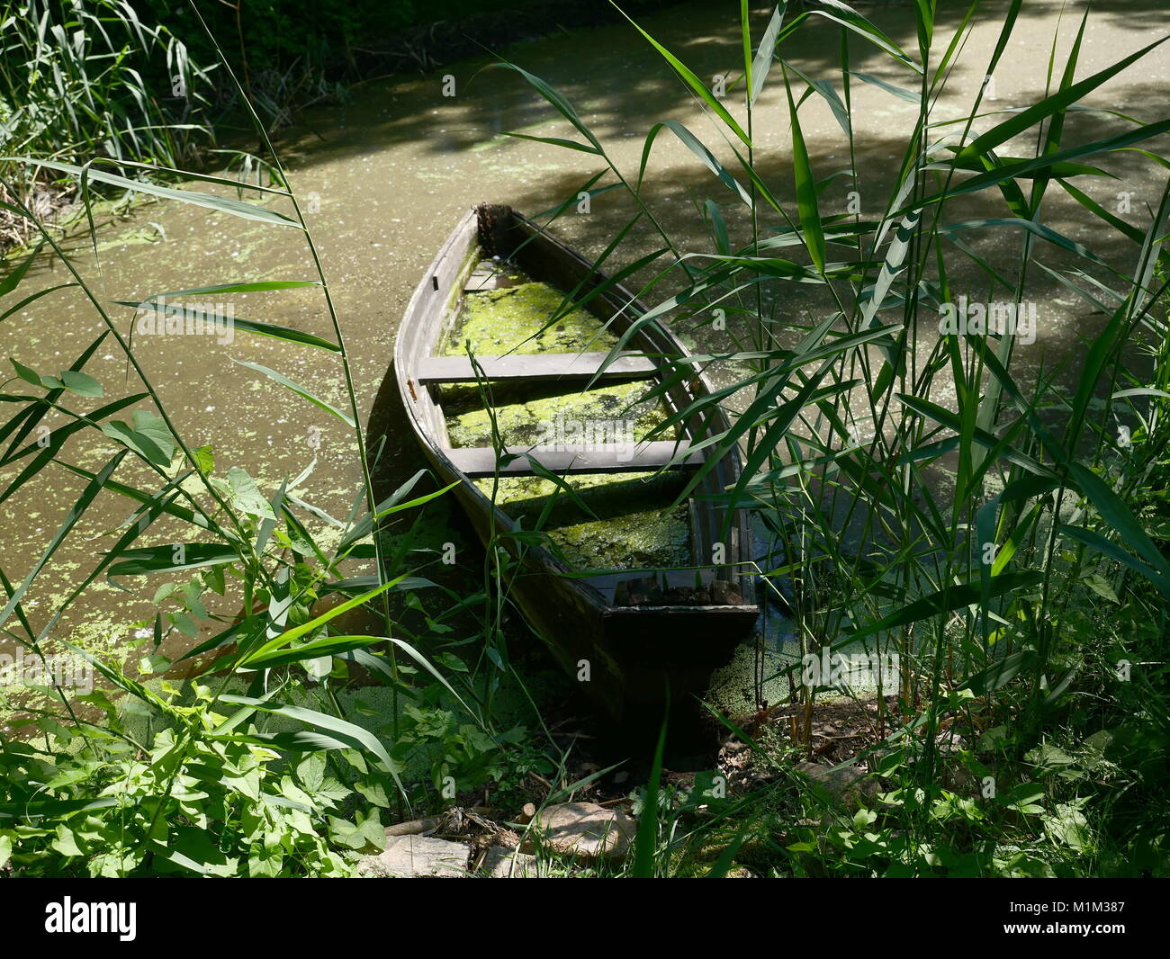 Sunken vecchia barca nel lago Foto Stock