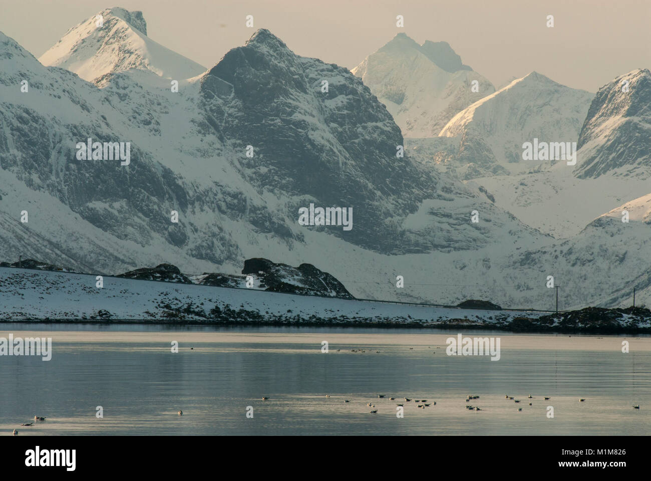 Paese di pescatori di Ramberg è circondato da alte mpuntains su pöeninsula Lofoten, Norvegia Foto Stock