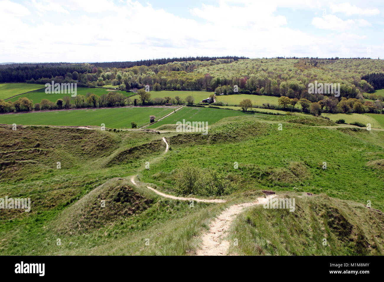 Vista dalla collina Cley verso Longleat Estate nel WILTSHIRE REGNO UNITO. Foto Stock