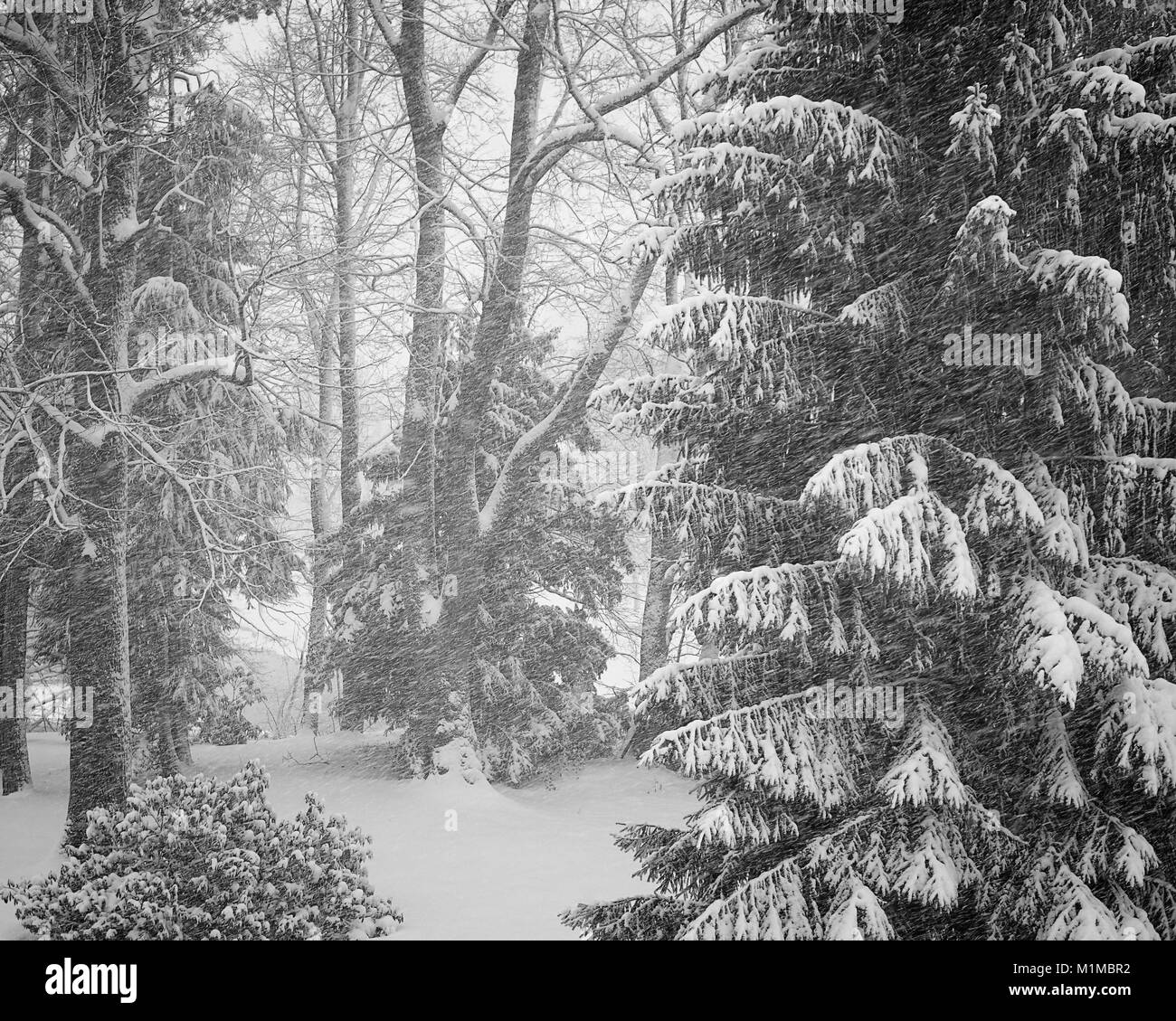 DE - Baviera: inverno a Bad Toelz Foto Stock