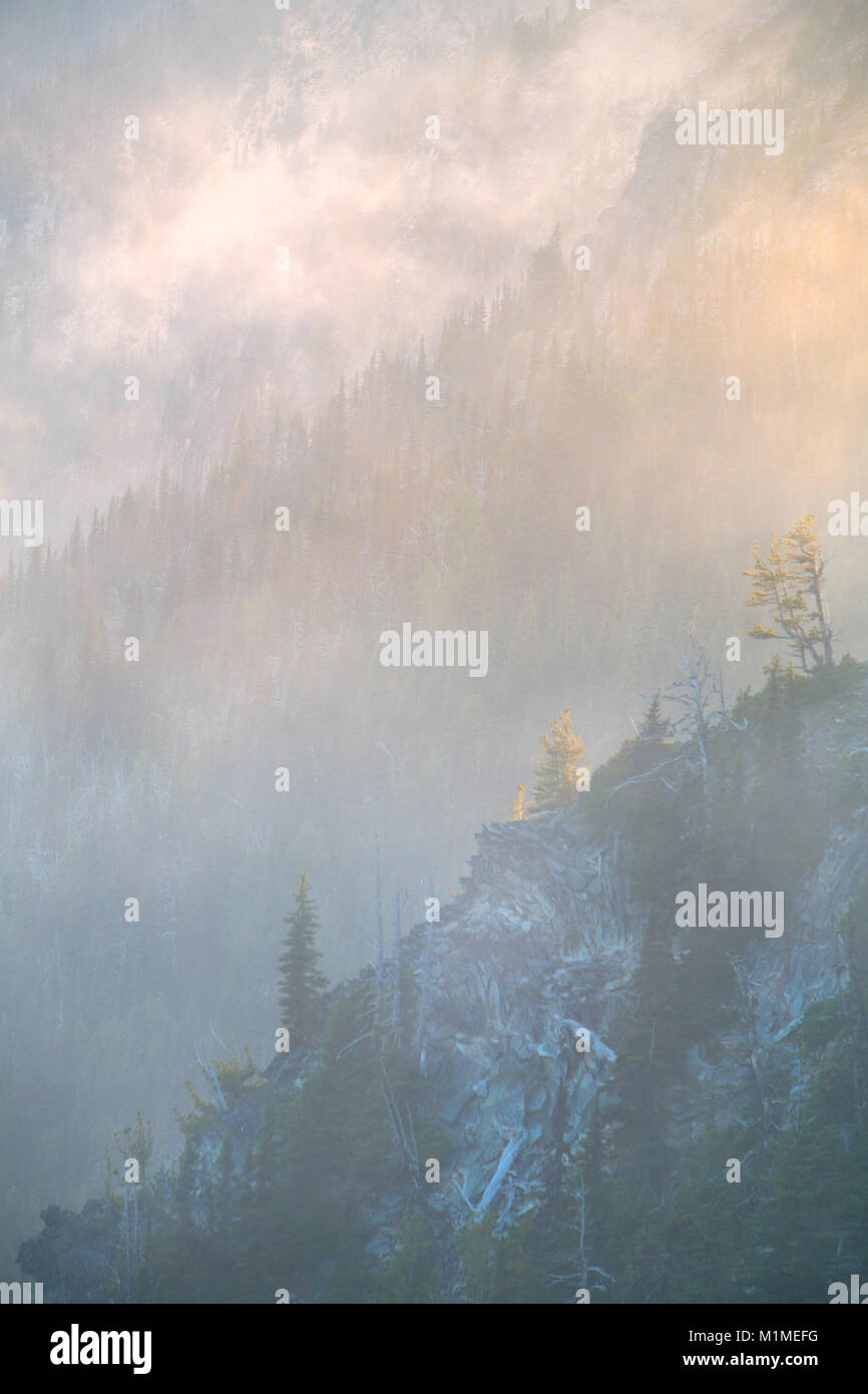 Una serie di scogli nella nebbia a Mount Rainier National Park in Washington. Estate Foto Stock
